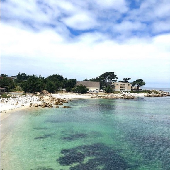 Meet your Posher, Traci - Picture 4 of 8